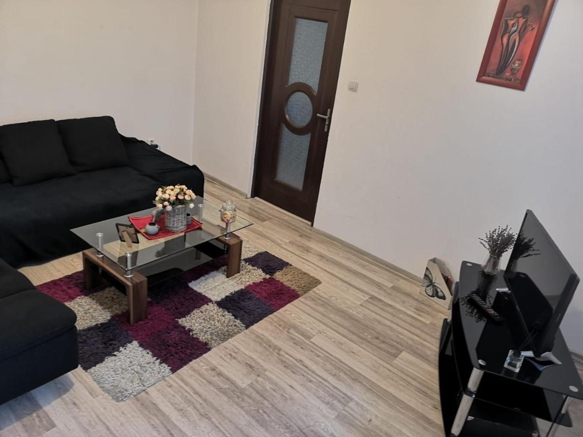 Appartamento Deea Apartament Craiova Esterno foto